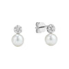 Boucles d'oreilles fixes.