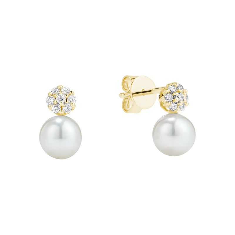Boucles d'oreilles fixes.