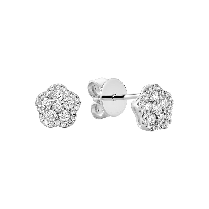 Boucles d'oreilles fixes.